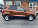 Used 2019 Ford EcoSport SE w/ SE Convenience Package image 6