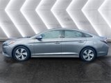 Used 2017 Hyundai Sonata Limited w/ Ultimate Package 02 image 2