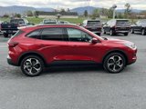 New 2025 Ford Escape ST-Line Select image 5