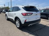 Certified 2022 Ford Escape SE w/ Convenience Package image 6
