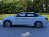 Used 2013 Honda Accord EX image 2