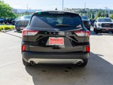 Used 2021 Ford Escape SEL w/ Technology Package image 6