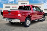 Used 2019 Ford F150 XLT w/ Equipment Group 302A Luxury image 2
