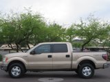 Used 2013 Ford F150 XLT w/ Mid Equipment Group image 2
