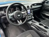 Used 2023 Ford Mustang Coupe w/ Equipment Group 101A image 2