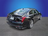 Certified 2022 Cadillac CT5 Premium Luxury image 5