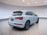 Used 2022 Audi Q5 2.0T Premium Plus image 3