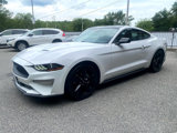 Used 2021 Ford Mustang Coupe w/ Equipment Group 101A image 4