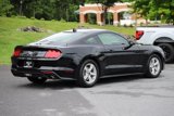 Certified 2021 Ford Mustang Coupe image 4