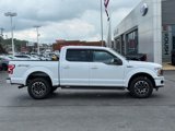 Used 2019 Ford F150 XLT w/ Equipment Group 302A Luxury image 2