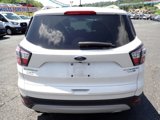 Used 2017 Ford Escape Titanium image 4