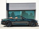 New 2024 Bentley Continental GT Speed image 5