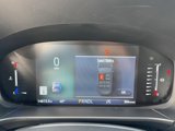 Used 2023 Ford Escape ST-Line w/ Tech Pack #1 image 6