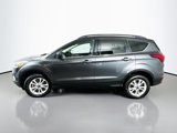 Used 2019 Ford Escape SEL image 4