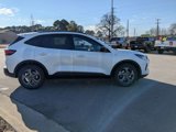 New 2025 Ford Escape ST-Line w/ Tech Pack #1 image 4