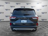 Used 2022 Ford Escape SE w/ Convenience Package image 4