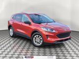 Used 2022 Ford Escape SE w/ Convenience Package image 1
