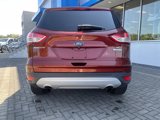 Used 2014 Ford Escape SE image 4