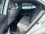 Used 2019 Toyota Camry SE image 6