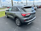 Used 2022 Ford Escape SEL image 4