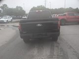 Certified 2024 Ford F150 Platinum w/ Equipment Group 702A High image 4