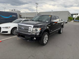 Used 2013 Ford F150 Platinum image 5