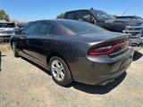 Used 2021 Dodge Charger SXT w/ Leather Interior Group image 3