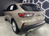 Used 2020 Ford Escape SE image 3