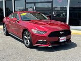 Used 2015 Ford Mustang Coupe w/ Equipment Group 051A image 2