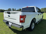 Used 2019 Ford F150 XLT image 5
