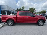Used 2019 Ford F150 XLT w/ Equipment Group 302A Luxury image 2