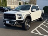 Used 2017 Ford F150 Raptor w/ Equipment Group 802A Luxury image 3