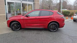 New 2024 Alfa Romeo Stelvio Quadrifoglio image 5