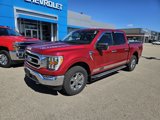 Used 2021 Ford F150 XLT w/ Equipment Group 302A High image 2