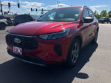 Used 2025 Ford Escape ST-Line w/ Tech Pack #1 image 6