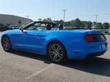 Used 2017 Ford Mustang Premium image 5