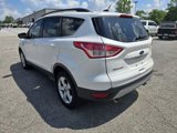 Used 2016 Ford Escape SE w/ SE Leather Comfort Package image 5