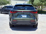New 2025 Lexus NX 350h AWD w/ Premium Package image 5