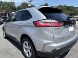 Used 2019 Ford Edge SE w/ Cargo Accessory Package image 3