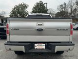 Used 2014 Ford F150 Platinum image 2