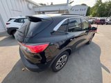 Used 2020 Ford Escape SEL image 5