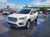 Used 2019 Ford Escape Titanium image 3