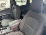 New 2025 Ford Escape Active image 4