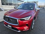 Certified 2023 INFINITI QX50 Sensory w/ Accent Package image 4