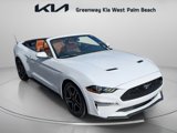 Used 2019 Ford Mustang Premium image 2