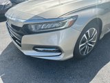 Used 2019 Honda Accord EX image 5