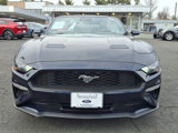 Certified 2021 Ford Mustang Convertible image 2