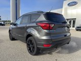 Used 2019 Ford Escape SE image 5