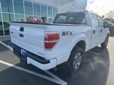 Used 2014 Ford F150 STX w/ Equipment Group 201A Mid image 5