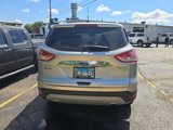 Used 2014 Ford Escape Titanium image 6